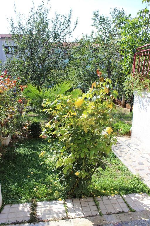 Pet Friendly Apartment In Porec With Wifi ห้อง รูปภาพ